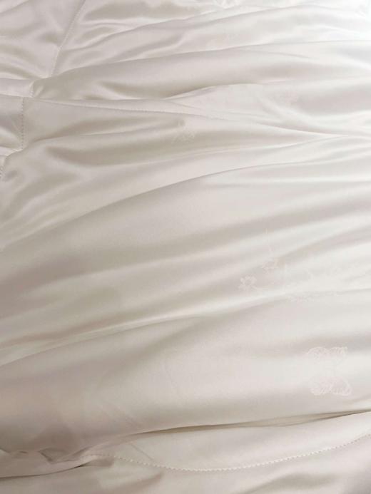 【江南古韵桑蚕长丝被】江南古韵蛋白小奶被 薄款蚕丝被 商品图3