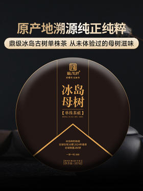 【2024年春茶】【冰岛母树】冰岛老寨的始祖 顶级冰岛古树单株茶 一生必喝一次 2024年春茶临沧冰岛老寨古树纯料普洱生茶357g饼茶 一饼一码