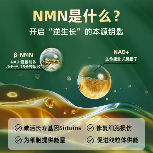 【NMN新加坡直邮】NMN12000 胶囊 商品图1
