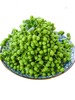 鲜冻青花椒350克 商品缩略图1