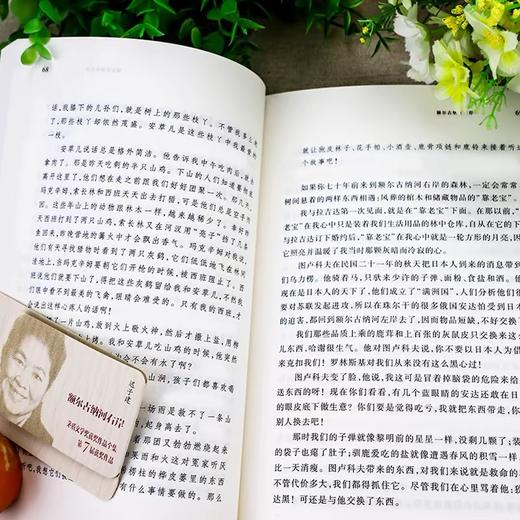 额尔古纳河右岸  迟子建著作 商品图1