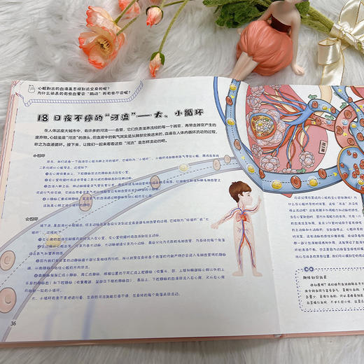 孩子读得懂的人体奥秘 商品图4