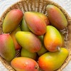 【树上熟贵妃芒】真正树上成熟，尖头冒黄采摘，生长成熟期约150天，比其他贵妃长30天，皮薄 肉厚，口感天花板 商品缩略图3