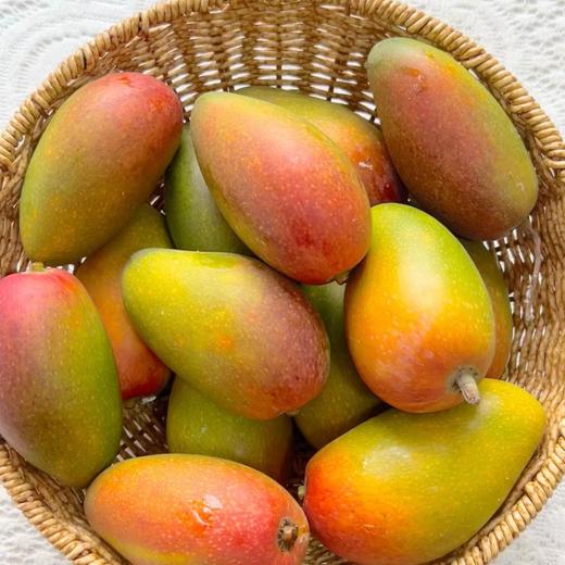 【树上熟贵妃芒】真正树上成熟，尖头冒黄采摘，生长成熟期约150天，比其他贵妃长30天，皮薄 肉厚，口感天花板 商品图3