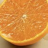 象山黄美人柑橘 被誉为树上长出来的“蜂蜜水” 果肉滑嫩 香甜爆汁 商品缩略图4