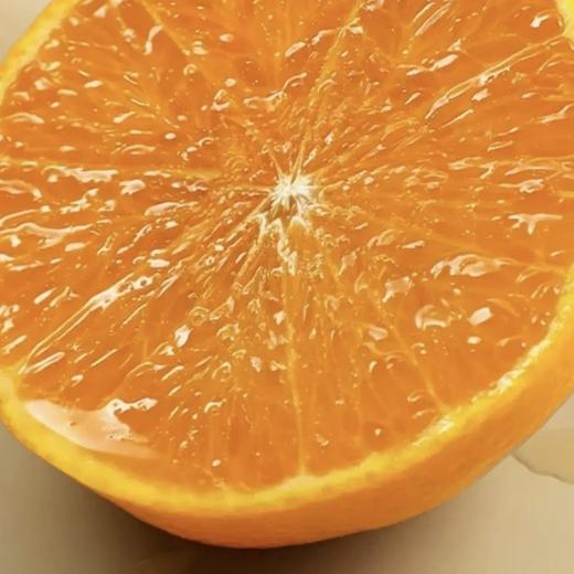 象山黄美人柑橘 被誉为树上长出来的“蜂蜜水” 果肉滑嫩 香甜爆汁 商品图4