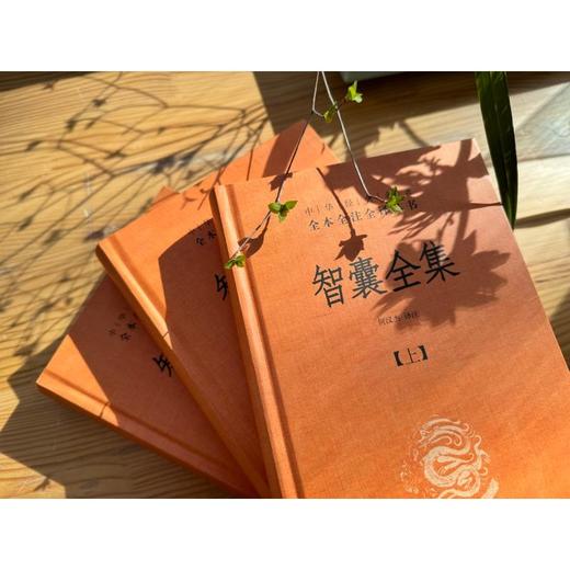 智囊全集(全3册) 商品图3