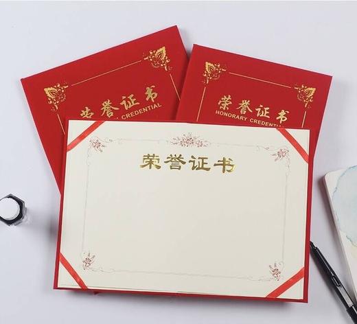 A4绒布面获奖优秀员工荣誉证书内页内芯可定制 商品图0