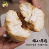 派绅 有机猴头菇 80g罐装 商品缩略图0