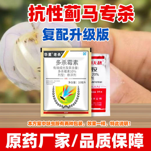 蓟马专杀方案 种植杀虫防治茄子蓟马专用杀虫剂组合农田农用 商品图3