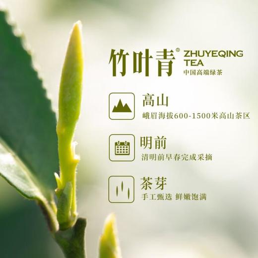 竹叶青峨眉高山绿茶特级（品味）45g 商品图3