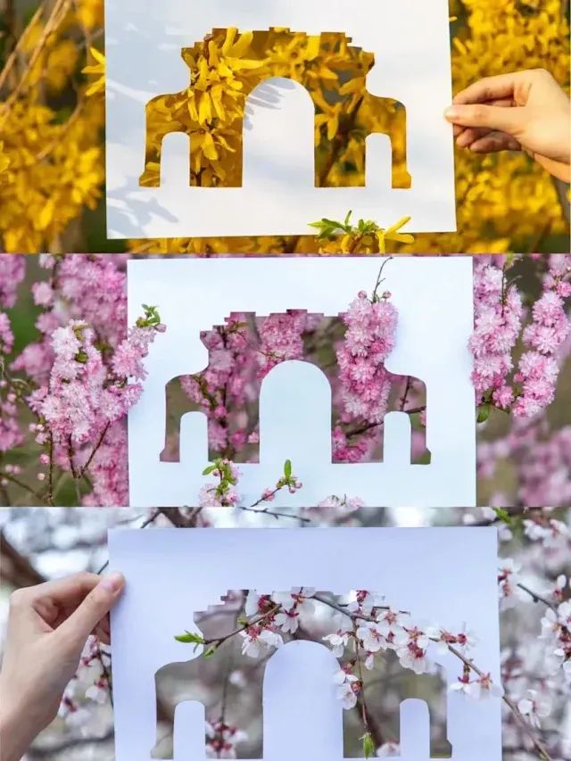 【博物通识】清华半日营-清华艺博+清华校园+校史馆|亲子\单飞6岁以上