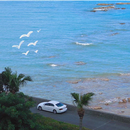 日本 | 小众关西7天6晚朝圣 商品图8