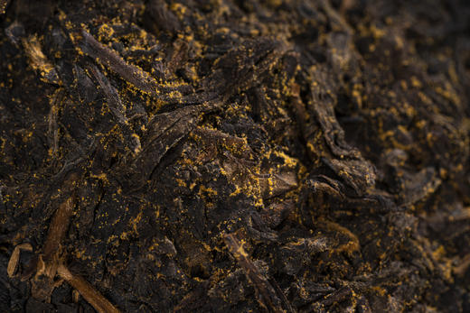 金花姑姑*龙吟金花 1千克 龙年生肖茶 纪念茶 商品图6