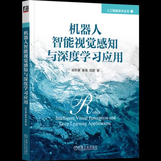 官网 机器人智能视觉感知与深度学习应用 梁桥康 秦海 项韶 人工智能技术丛书 机器人智能视觉感知系统深度学习技术书籍 商品图4