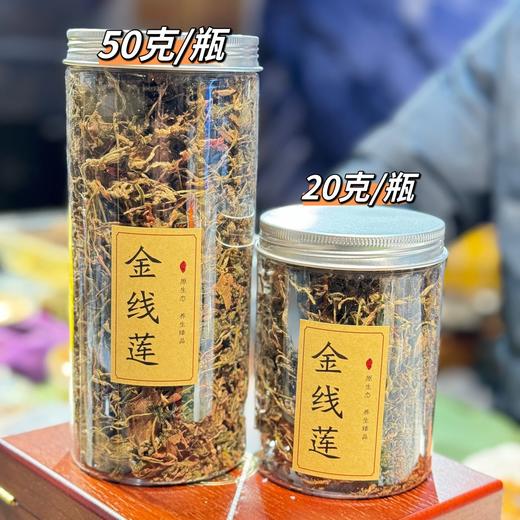 金线莲 商品图5