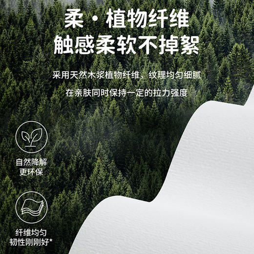 海棠季限量版圆筒纸巾 商品图3