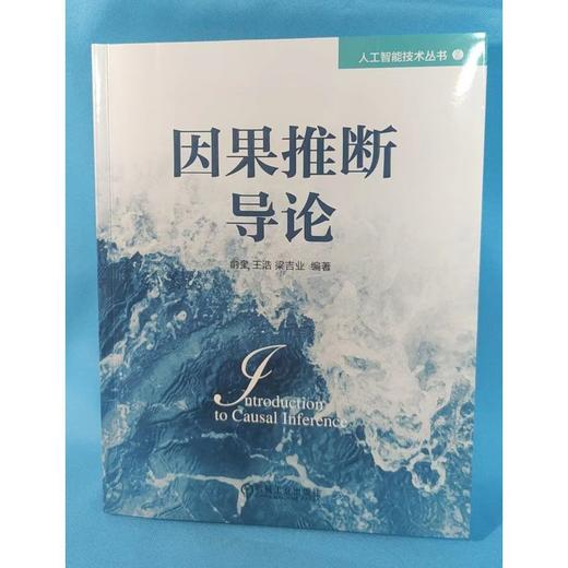 官网 因果推断导论 俞奎 王浩 梁吉业 人工智能技术丛书 因果诊断法 因果推断的基本概念理论与方法书籍 商品图2