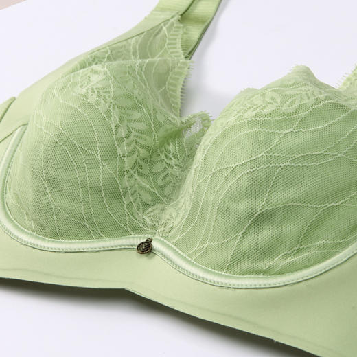 都市丽人舒软挺塑轻塑调整型内衣女蕾丝塑身CD杯3/4杯超薄文胸软钢圈四排扣LJ43C3 商品图4