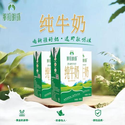 那拉明珠牛奶箱装 商品图1