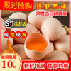 L无抗生素贵州鲜鸡蛋 10枚售15.9元 商品缩略图3