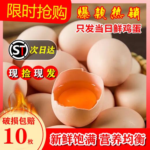 L无抗生素贵州鲜鸡蛋 10枚售15.9元 商品图3