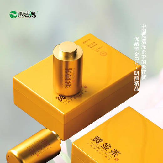 清新绿茶｜【保靖黄金茶8号】（明前精品），号称绿茶界的天花板，干茶外形娇美可爱，茸毫满披，花香果香甜香馥郁，“四高四绝”品质特点闻名遐迩，“三鲜”“三香”“三嫩”欲罢不能，净重：125g*1盒 商品图3