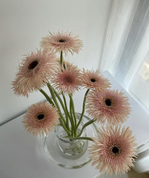 【拉丝弗朗】粉色拉丝菊  约10枝/扎 商品图4