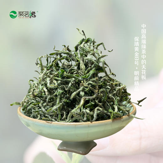 清新绿茶｜【保靖黄金茶8号】（明前精品），号称绿茶界的天花板，干茶外形娇美可爱，茸毫满披，花香果香甜香馥郁，“四高四绝”品质特点闻名遐迩，“三鲜”“三香”“三嫩”欲罢不能，净重：125g*1盒 商品图2