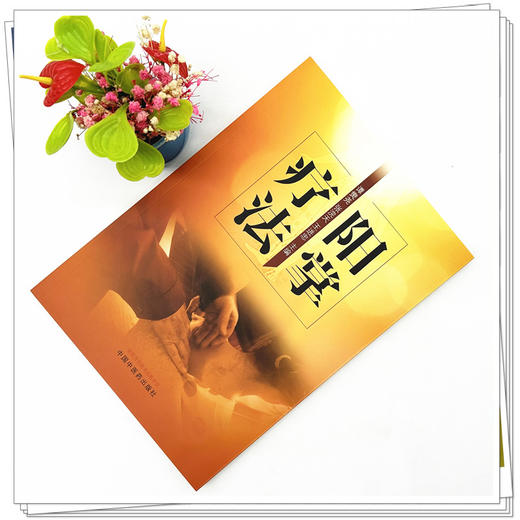 阳掌疗法 谭爕尧 张浣天 王进忠 主编 中国中医药出版社 商品图2