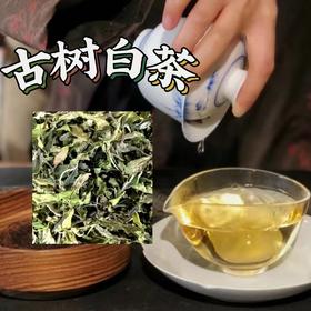 【AN】云南临沧 古树白茶 好品质口粮茶