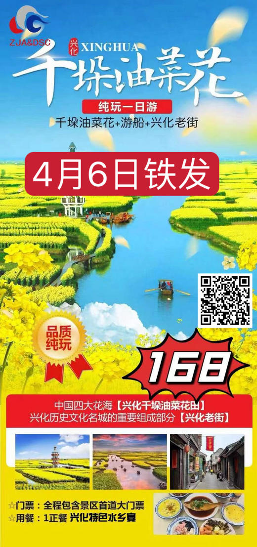 兴化千垛水上油菜花、泰州老街一日游 商品图0