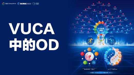 VUCA世界中的OD - Matt Minahan 商品图0