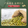 五峰高山精品绿豆2.5斤装 商品缩略图1