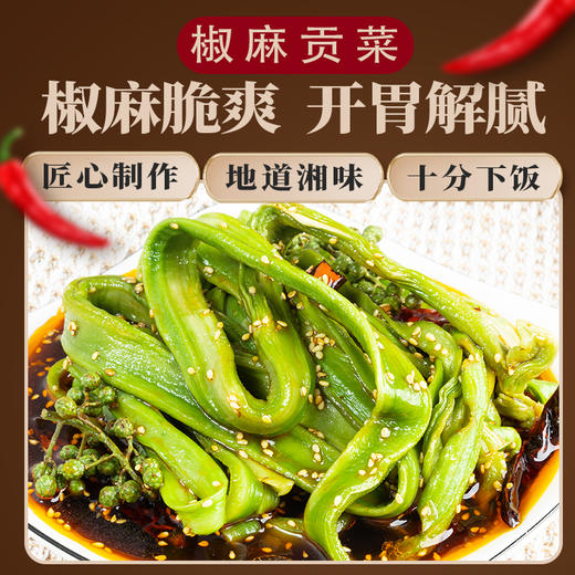 严选 | 椒麻贡菜500g/罐 香辣美味 匠心制作 捞汁下饭菜 商品图0