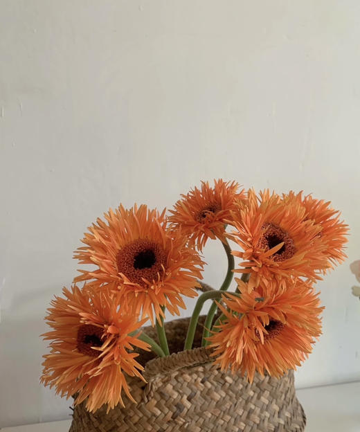 【拉丝弗朗】橙色拉丝菊  约10枝/扎 商品图2