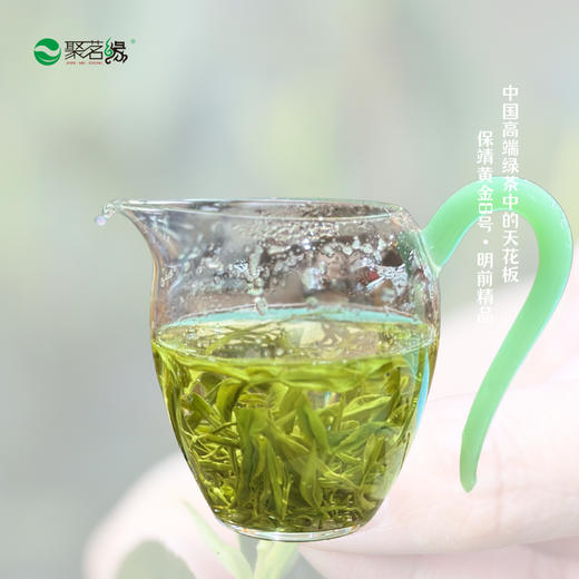 清新绿茶｜【保靖黄金茶8号】（明前精品），号称绿茶界的天花板，干茶外形娇美可爱，茸毫满披，花香果香甜香馥郁，“四高四绝”品质特点闻名遐迩，“三鲜”“三香”“三嫩”欲罢不能，净重：125g*1盒 商品图4
