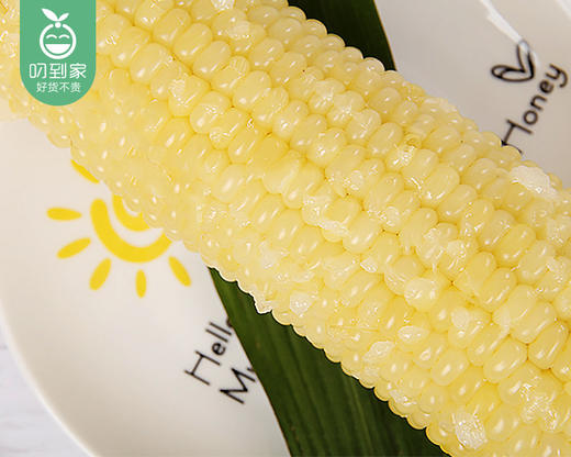 思粘东北白珍珠粘糯玉米*4袋（300g/袋 2棒装）生产日期: 9月 商品图1