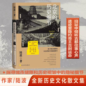 北京的历史细节（李敬泽、孟繁华、王笛、解玺璋推荐，探寻城市缝隙和历史褶皱中的隐秘细节）(陆波)