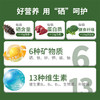 绿色酵母 莱茵衣藻代餐粉 15g*30 商品缩略图1