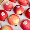 新西兰小花苹果精品礼盒装顺丰快递包邮下单从广州发货 商品缩略图2