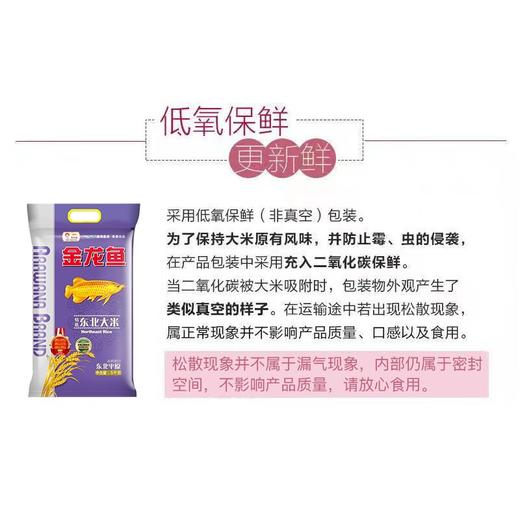 金龙鱼特选东北大米-5kg 商品图4