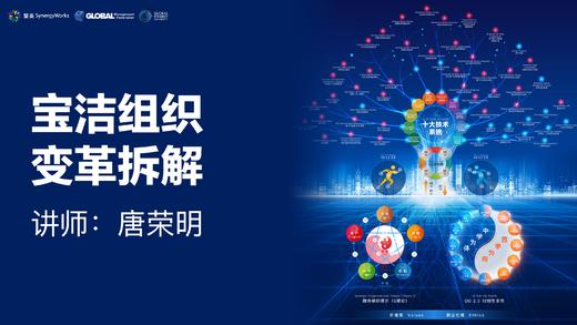 唐荣明：如何成为会跳舞的恐龙？宝洁组织变革拆解 商品图0