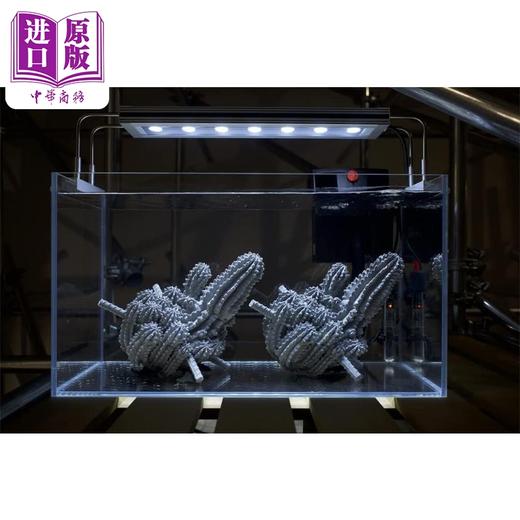 【中商原版】Zhang Ruyi (Bilingual Ed.) 进口艺术 张如怡 商品图2