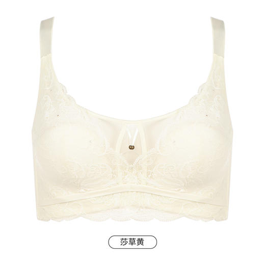 都市丽人舒软挺塑轻塑塑身内衣女蕾丝BC杯适穿3/4杯超薄款速干调整型文胸无钢圈四排扣LJ42B3 商品图11