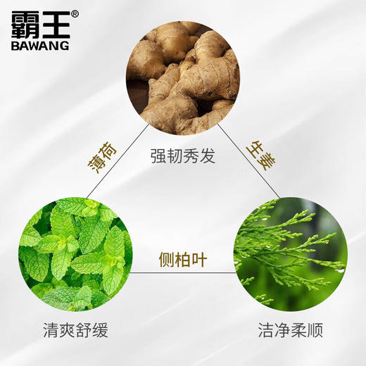 霸王  植物精华免蒸焗油膏（姜汁怡神组方）500g 10101021626 商品图1