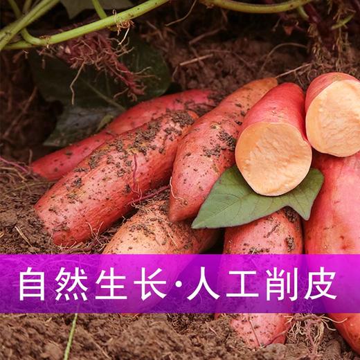 L生长地正宗客家红薯干300g 商品图3