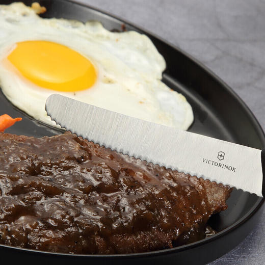 维氏经典野餐刀不锈钢折叠多功能刀水果刀波浪刃餐刀黑色110mm 商品图8