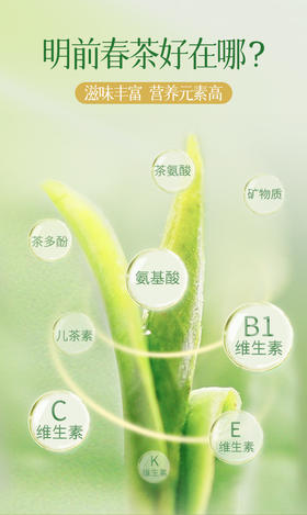 【茶知识】为什么说春茶是一年中最好的茶
