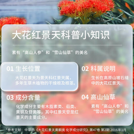 北京同仁堂 红景天胶囊48g（400mg/粒*120粒）蓝帽标识 提高缺氧耐受力 高原SY 商品图4